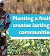 Fruit Tree Charity: Sadaqah Jariyah for Hunger & Income 