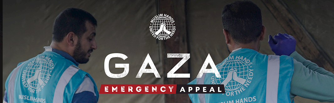 Gaza Crisis Update: 400 Lives Lost 