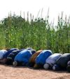 How to Pray Eid Salah Step by Step 